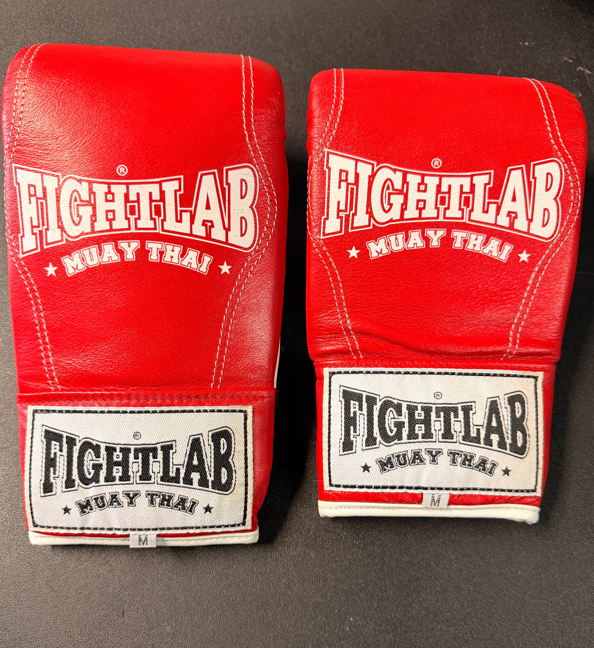 FightLab Bag Gloves (Thailand)