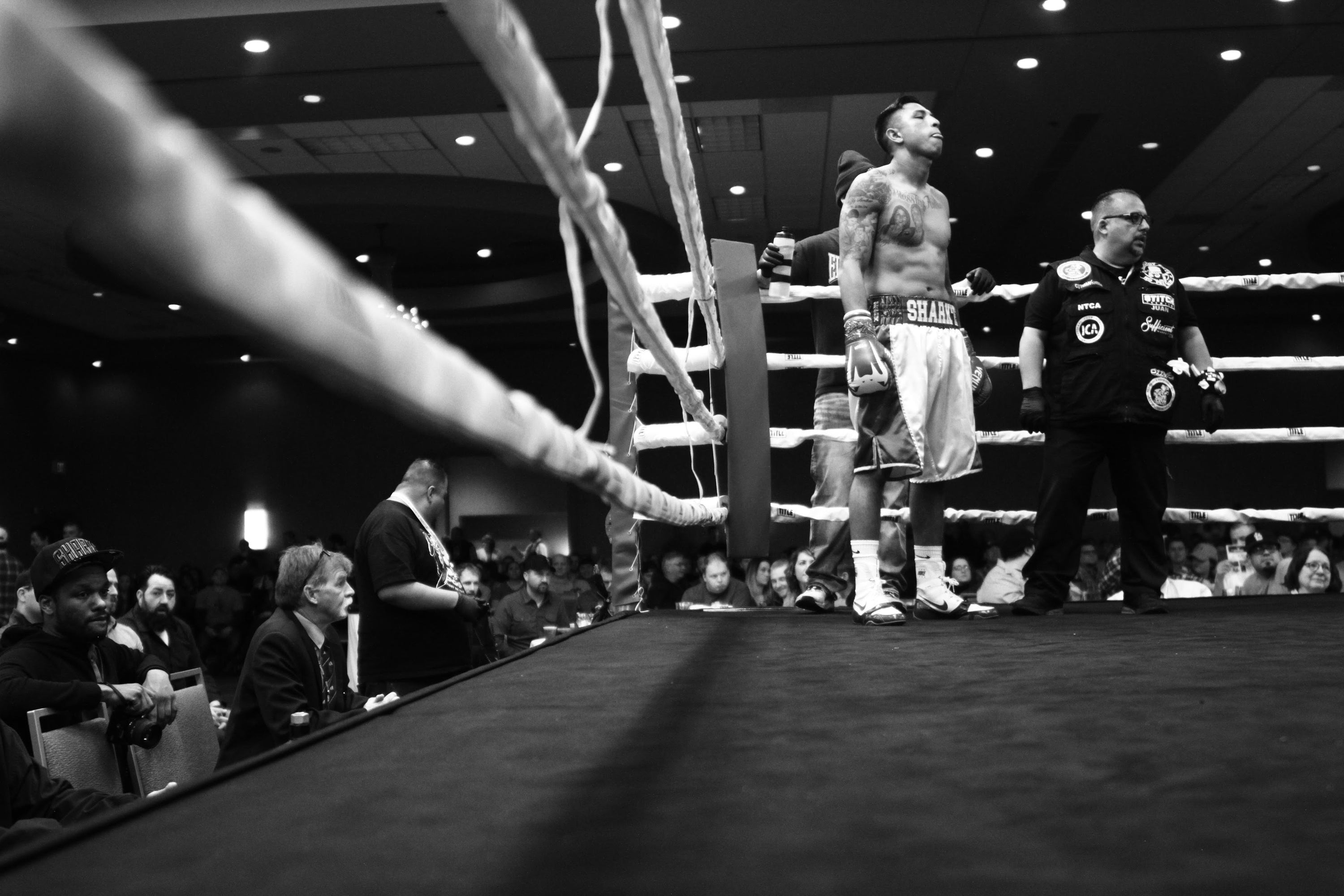 CUTMAN4HIRE CUTMAN SUPPLIES Taking you to the Championship RoundsN Cutman4Hire Cutman Supplies